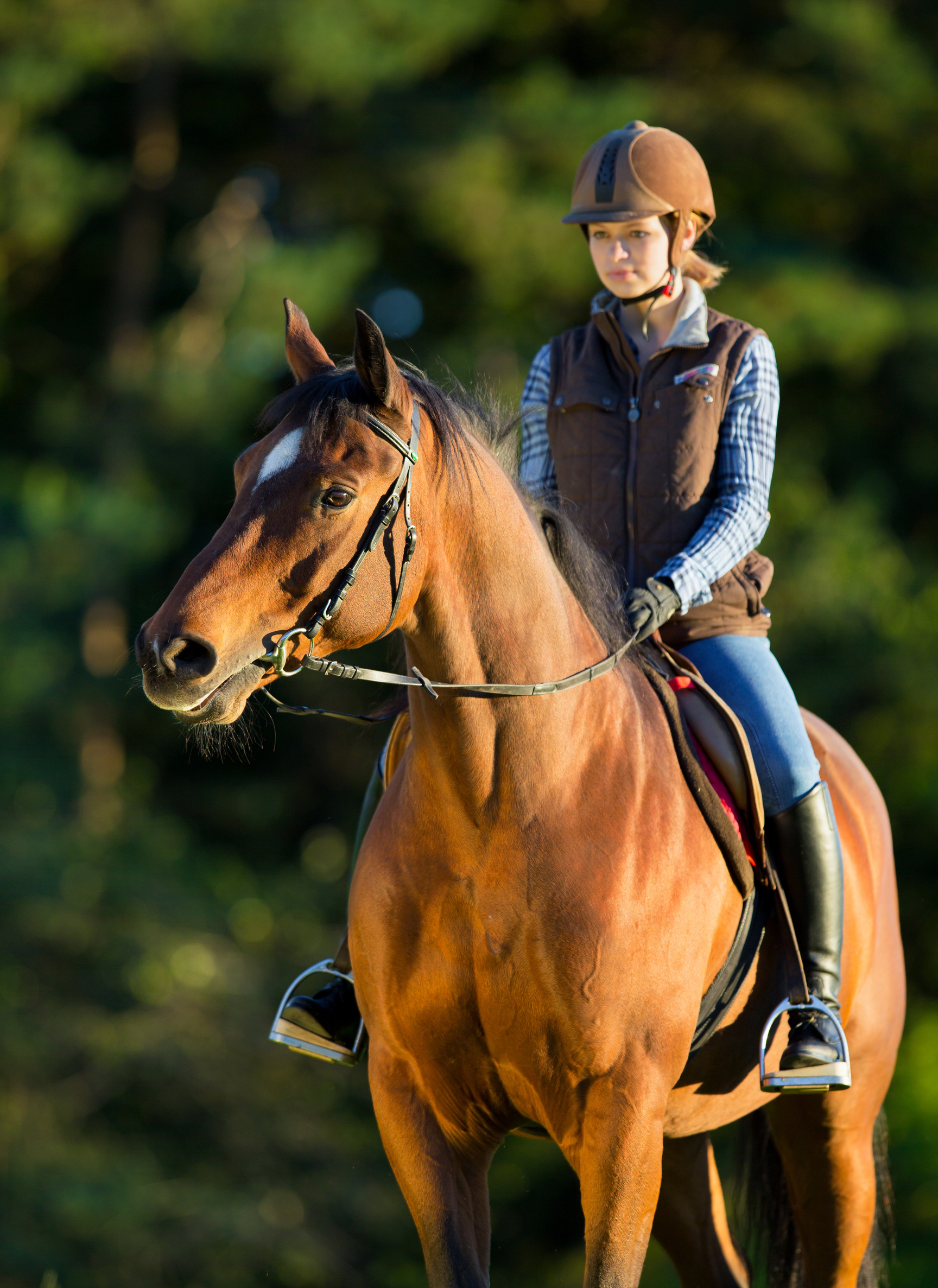 Young woman riding a horse, horse riding back.